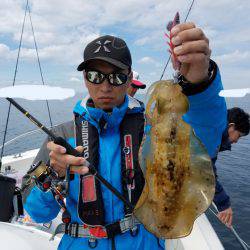 ソルトウォーターガイドフレンズ 釣果