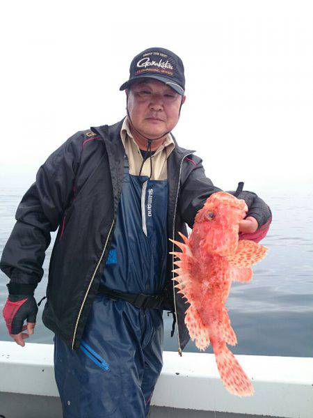 エンペラー 釣果