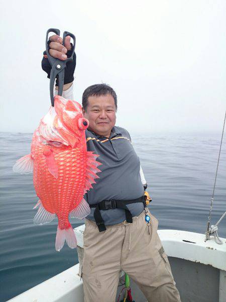 エンペラー 釣果