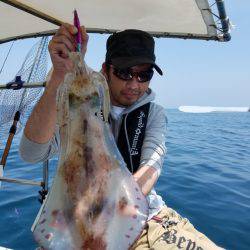 ソルトウォーターガイドフレンズ 釣果