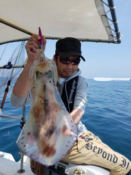 ソルトウォーターガイドフレンズ 釣果