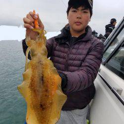 ソルトウォーターガイドフレンズ 釣果