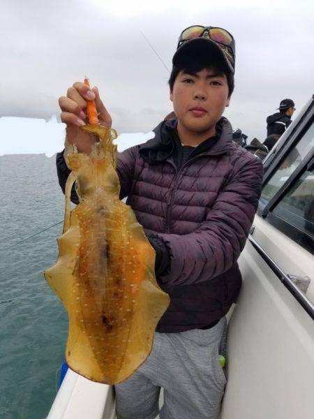 ソルトウォーターガイドフレンズ 釣果