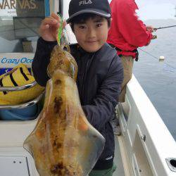 ソルトウォーターガイドフレンズ 釣果