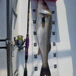 海龍丸（島根） 釣果