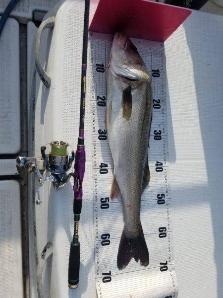 海龍丸（島根） 釣果