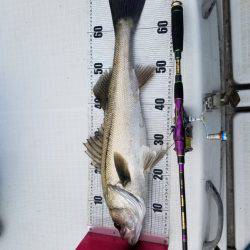 海龍丸（島根） 釣果