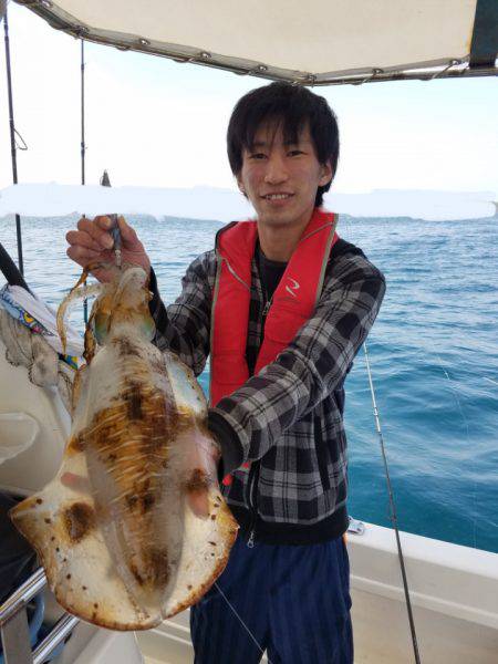 ソルトウォーターガイドフレンズ 釣果