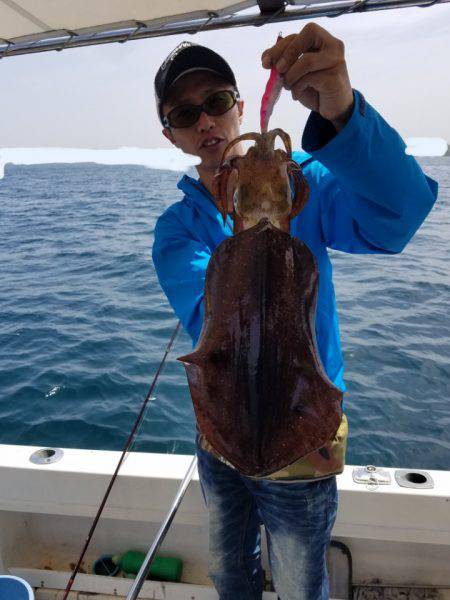 ソルトウォーターガイドフレンズ 釣果