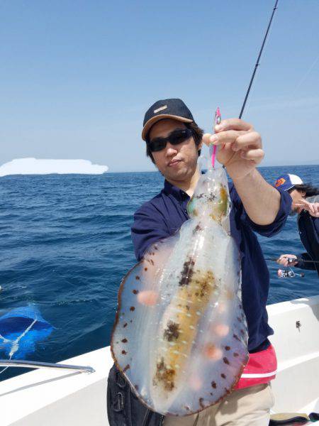 ソルトウォーターガイドフレンズ 釣果