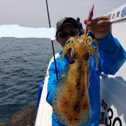 ソルトウォーターガイドフレンズ 釣果