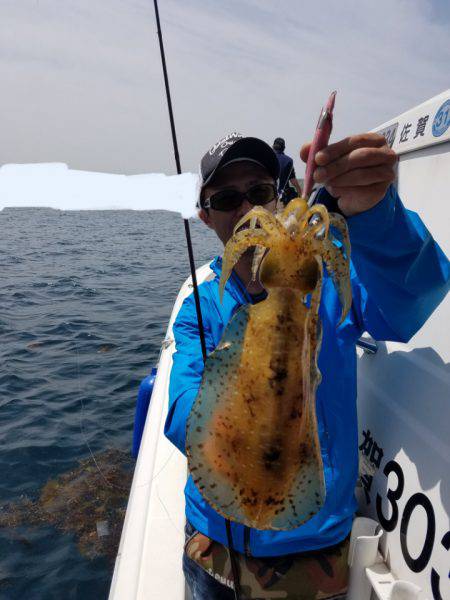 ソルトウォーターガイドフレンズ 釣果