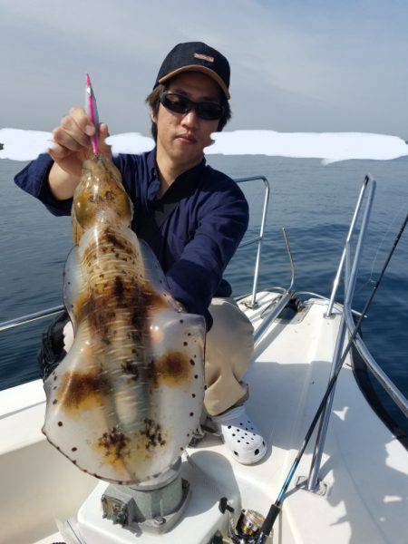 ソルトウォーターガイドフレンズ 釣果