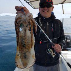 ソルトウォーターガイドフレンズ 釣果