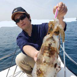 ソルトウォーターガイドフレンズ 釣果