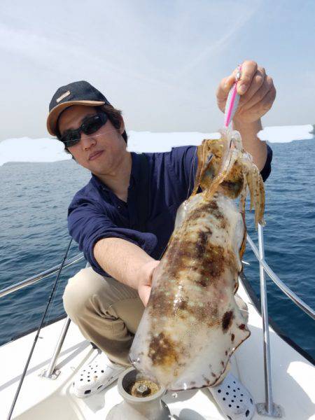 ソルトウォーターガイドフレンズ 釣果