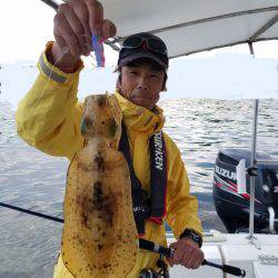 ソルトウォーターガイドフレンズ 釣果