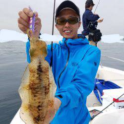 ソルトウォーターガイドフレンズ 釣果