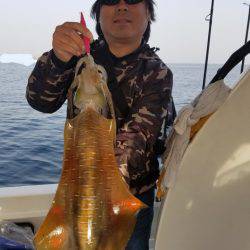 ソルトウォーターガイドフレンズ 釣果