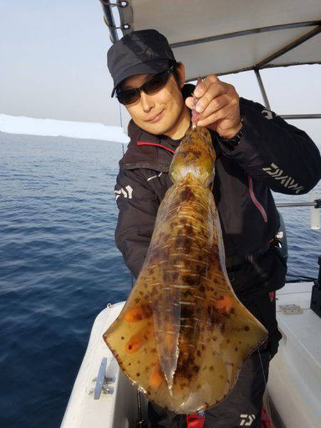 ソルトウォーターガイドフレンズ 釣果