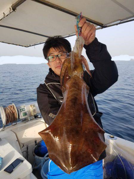 ソルトウォーターガイドフレンズ 釣果