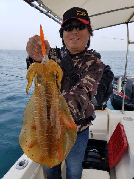 ソルトウォーターガイドフレンズ 釣果