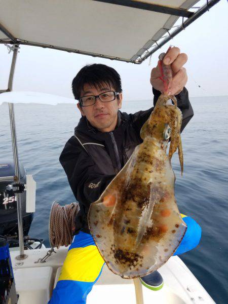 ソルトウォーターガイドフレンズ 釣果