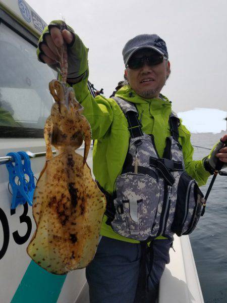 ソルトウォーターガイドフレンズ 釣果