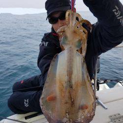 ソルトウォーターガイドフレンズ 釣果