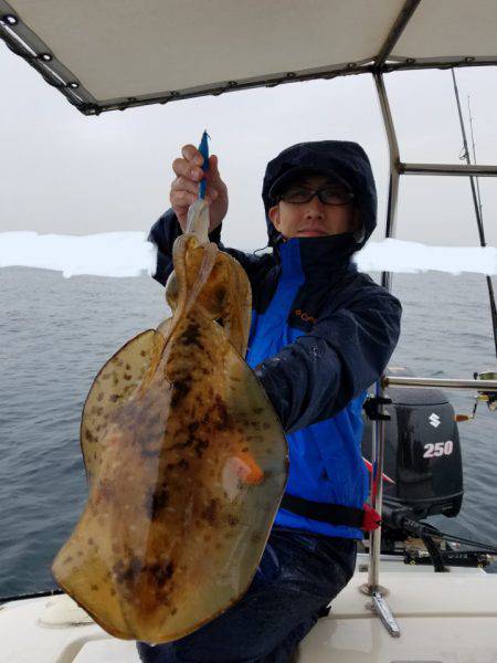 ソルトウォーターガイドフレンズ 釣果