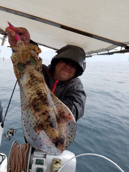 ソルトウォーターガイドフレンズ 釣果