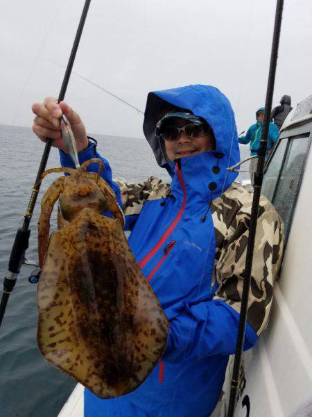 ソルトウォーターガイドフレンズ 釣果