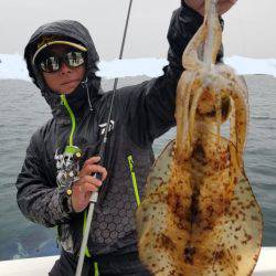 ソルトウォーターガイドフレンズ 釣果