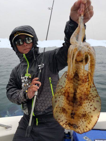 ソルトウォーターガイドフレンズ 釣果