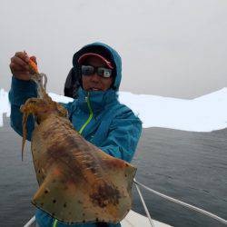 ソルトウォーターガイドフレンズ 釣果