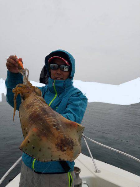 ソルトウォーターガイドフレンズ 釣果