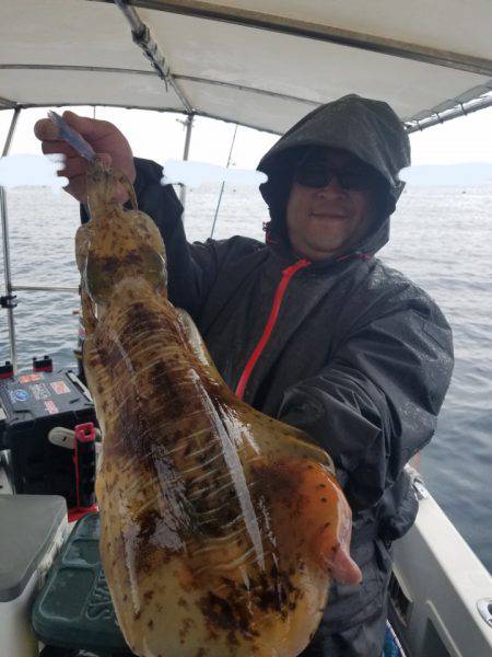 ソルトウォーターガイドフレンズ 釣果