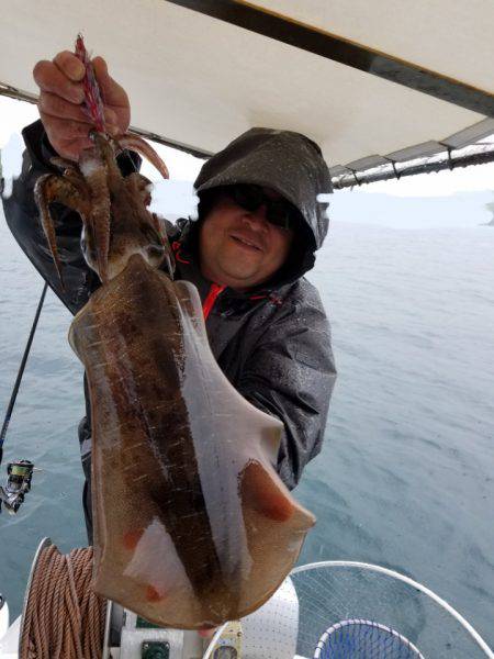 ソルトウォーターガイドフレンズ 釣果