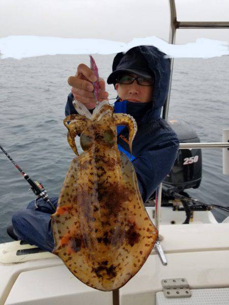 ソルトウォーターガイドフレンズ 釣果