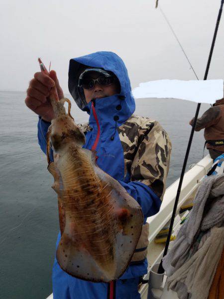 ソルトウォーターガイドフレンズ 釣果