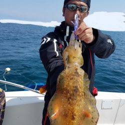 ソルトウォーターガイドフレンズ 釣果