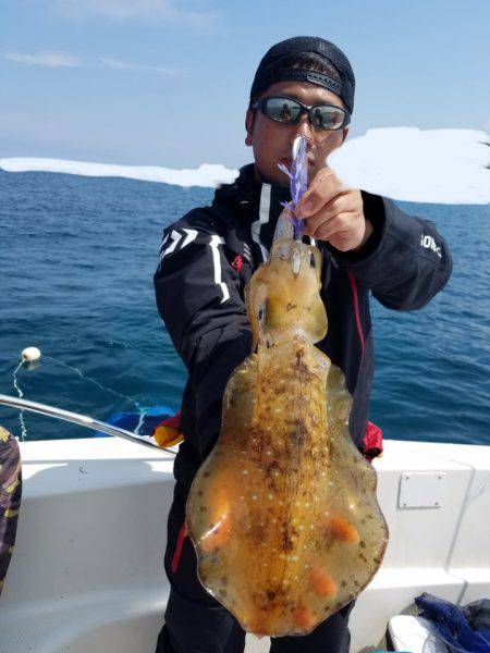 ソルトウォーターガイドフレンズ 釣果