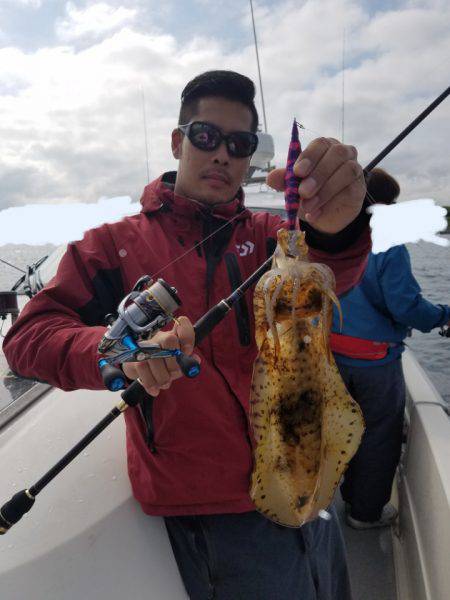 ソルトウォーターガイドフレンズ 釣果