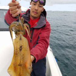 ソルトウォーターガイドフレンズ 釣果