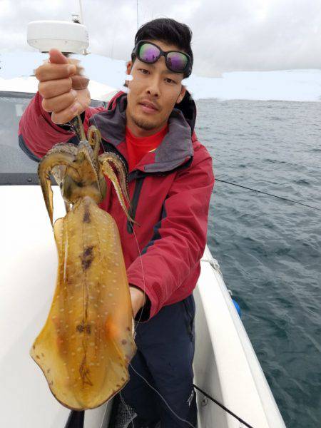 ソルトウォーターガイドフレンズ 釣果