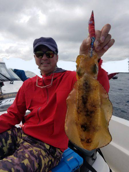 ソルトウォーターガイドフレンズ 釣果