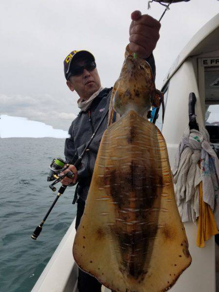 ソルトウォーターガイドフレンズ 釣果