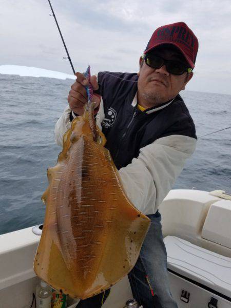 ソルトウォーターガイドフレンズ 釣果