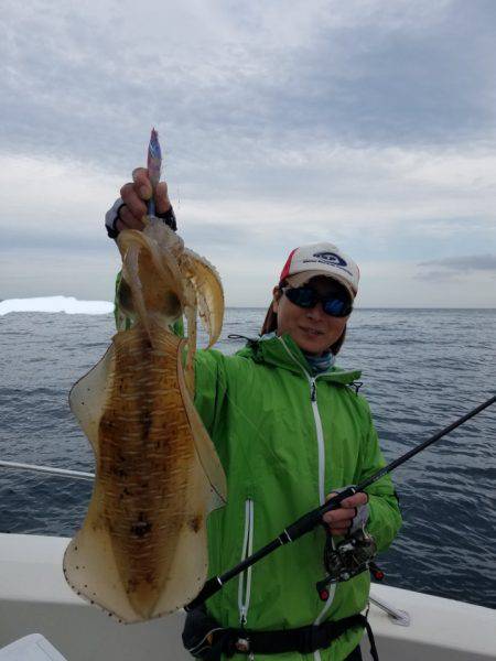 ソルトウォーターガイドフレンズ 釣果