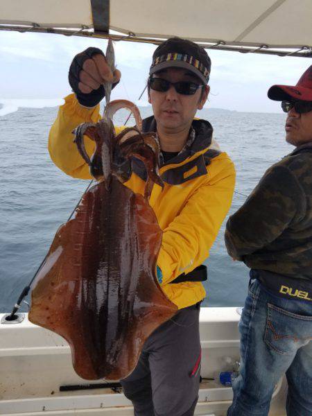 ソルトウォーターガイドフレンズ 釣果